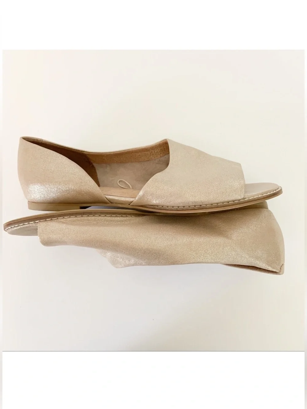 Anthropologie soft open